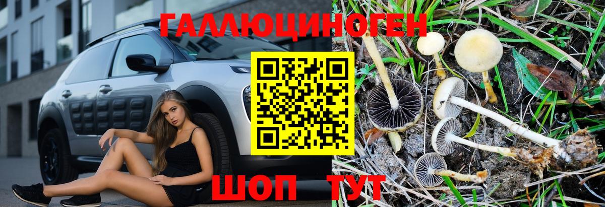 Псилоцибиновые грибы мухоморы  Псилоцибиновые грибы Magic Shrooms  Вход с VPN  Новоалтайск 
